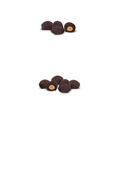 10 oz Dark Chocolate Peanuts