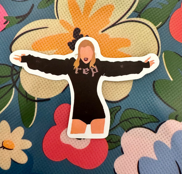 Taylor Swift Stickers