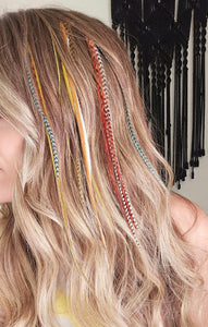 Thursday 3/20 Hair Feather Appt