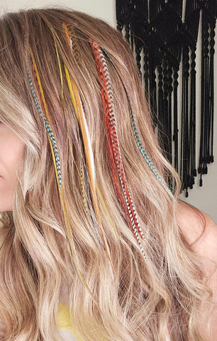 Thursday 3/20 Hair Feather Appt