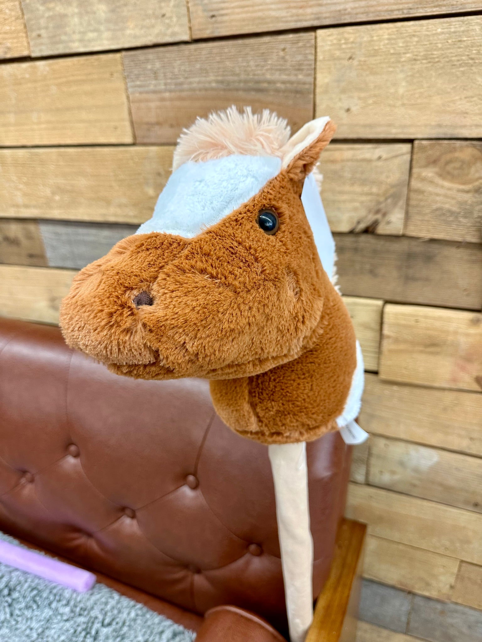 Ride on Horse