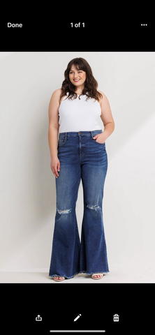 Sneakpeek Ripped High Rise Plus Flare