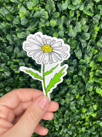 Daisy Stem Sticker
