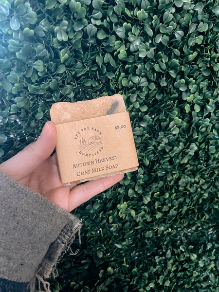 Goat Milk Soap