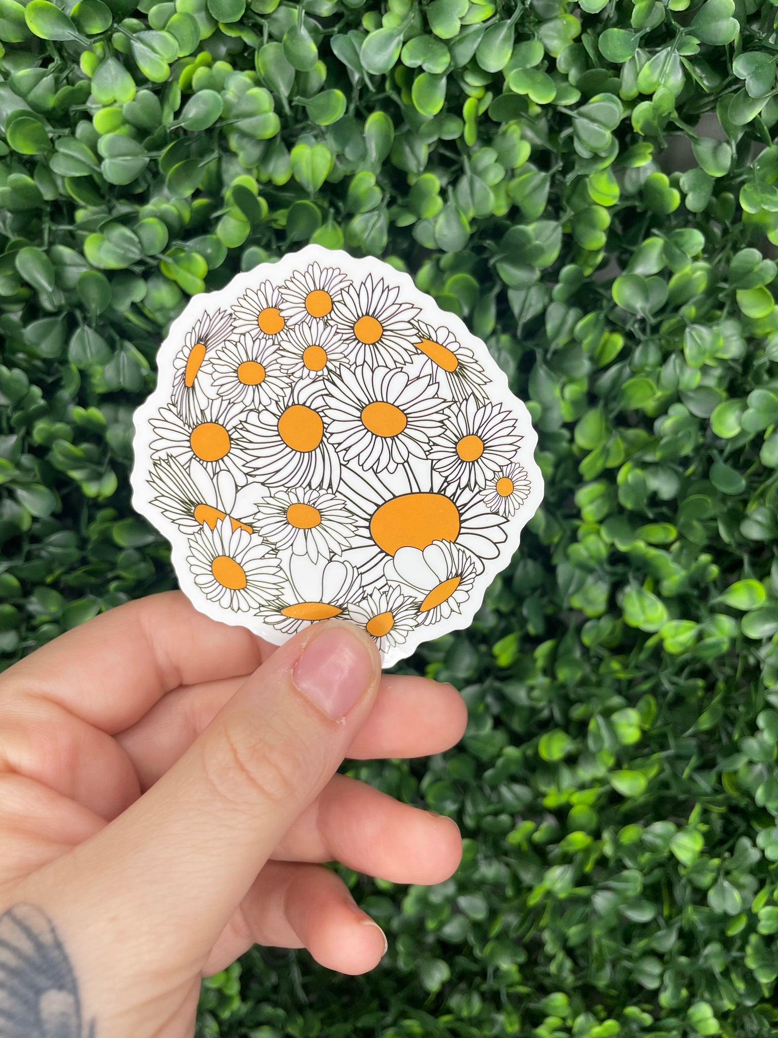 Daisy Bundle Sticker