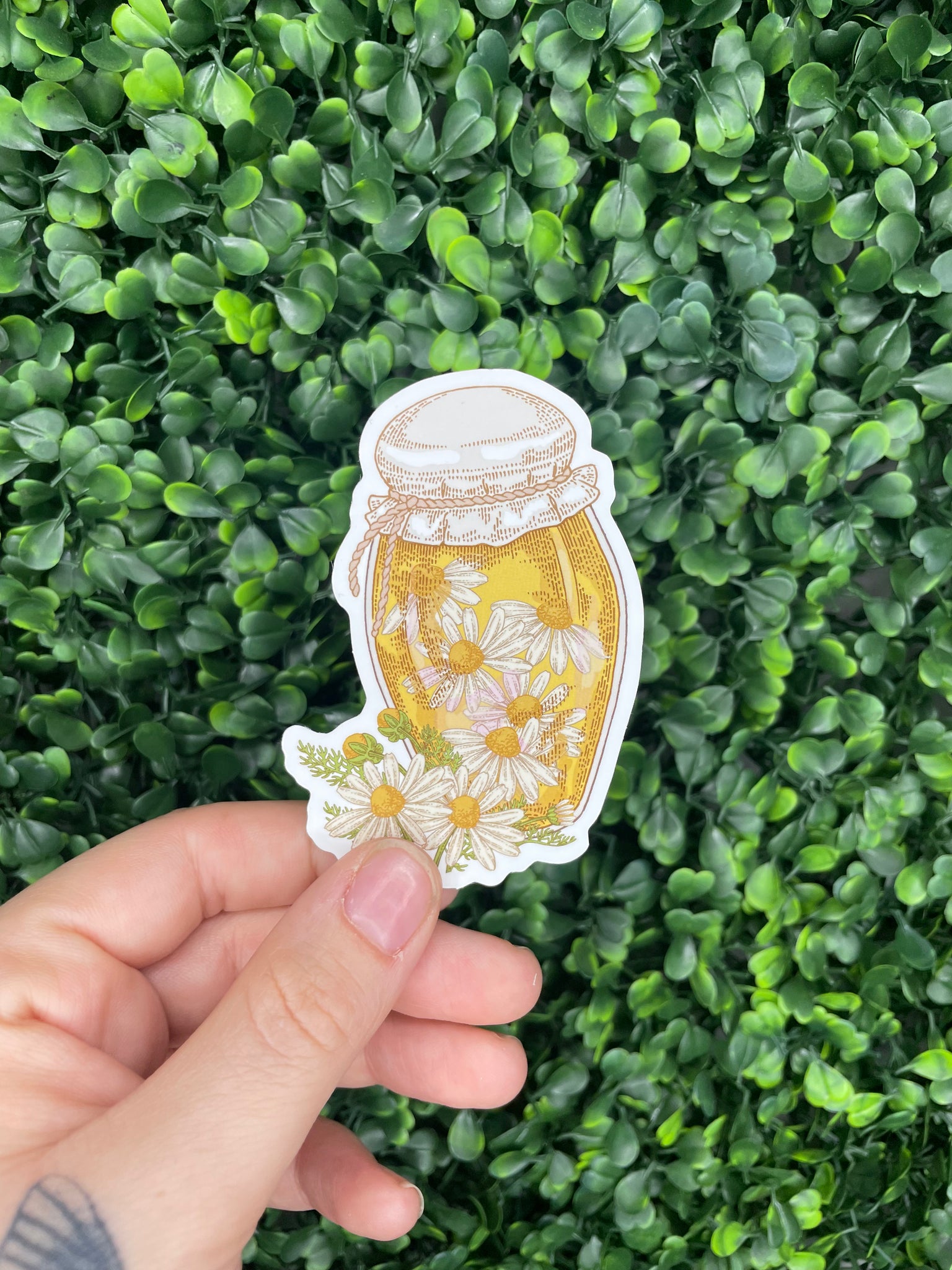 Daisy Jar Sticker