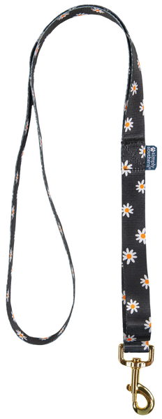 Simply Southern Leash