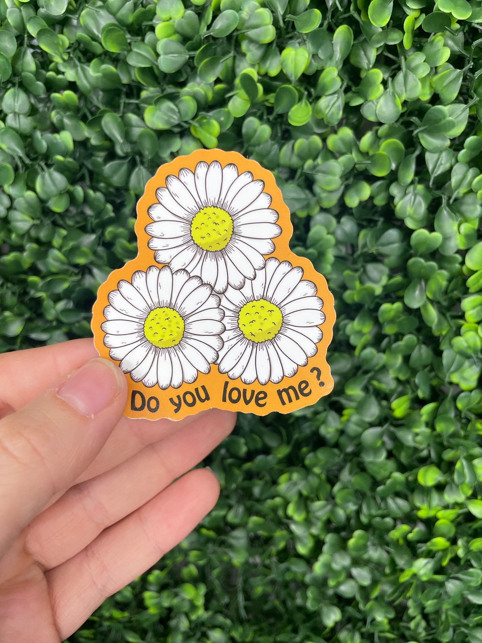 Daisy Do you love me? Sticker