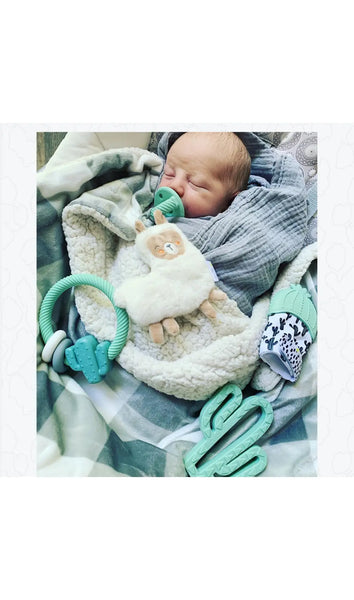 Ritzy Rattle™ Silicone Teether Rattles- Cactus