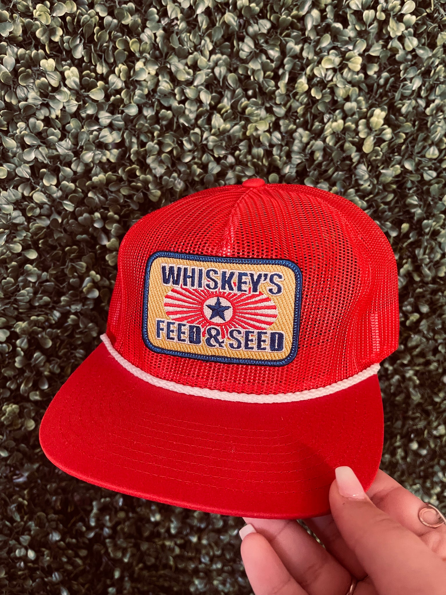 WB The Throwback Red
